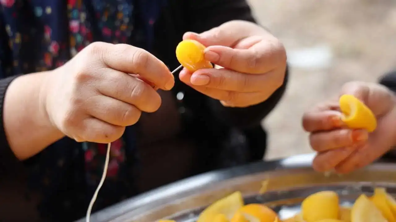 Adanalı Kadınlardan Turunç Mucizesi: Dalında Kalınca Servete Dönüştürdüler! 3